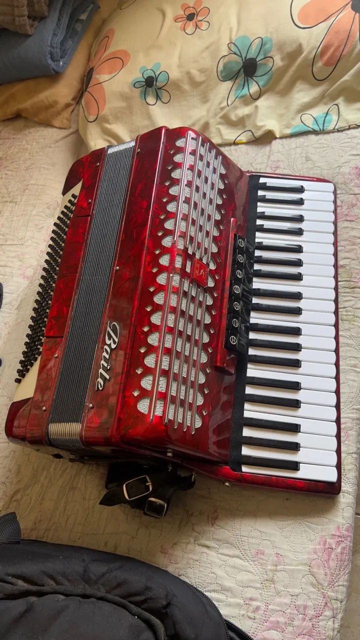 Acordeon terça e quinta de voz. - Foto 4