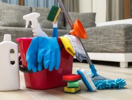Organizo sua casa