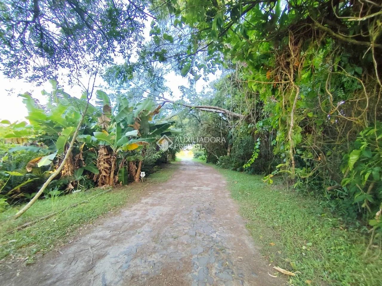 LOTE EM ÁREA NOBRE NA Praia da Pinheira - Foto 5