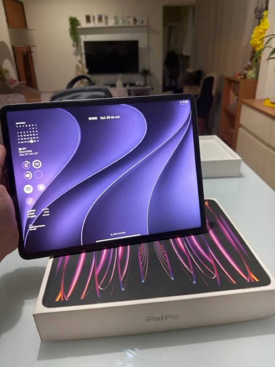 iPad Pro m2 13 polegadas