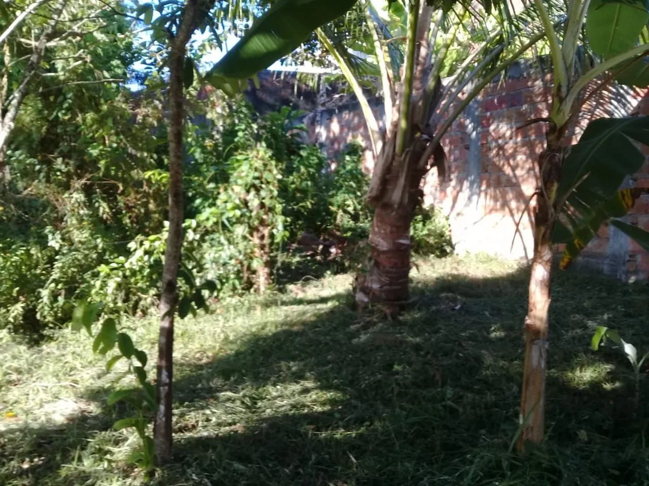 Terreno Ilha de Itaparica  - Foto 2