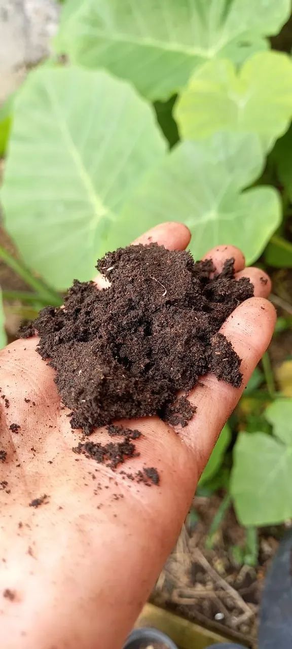 Pacote Terra Adubada 20kg Terra Preta Boa Qualidade  - Foto 3