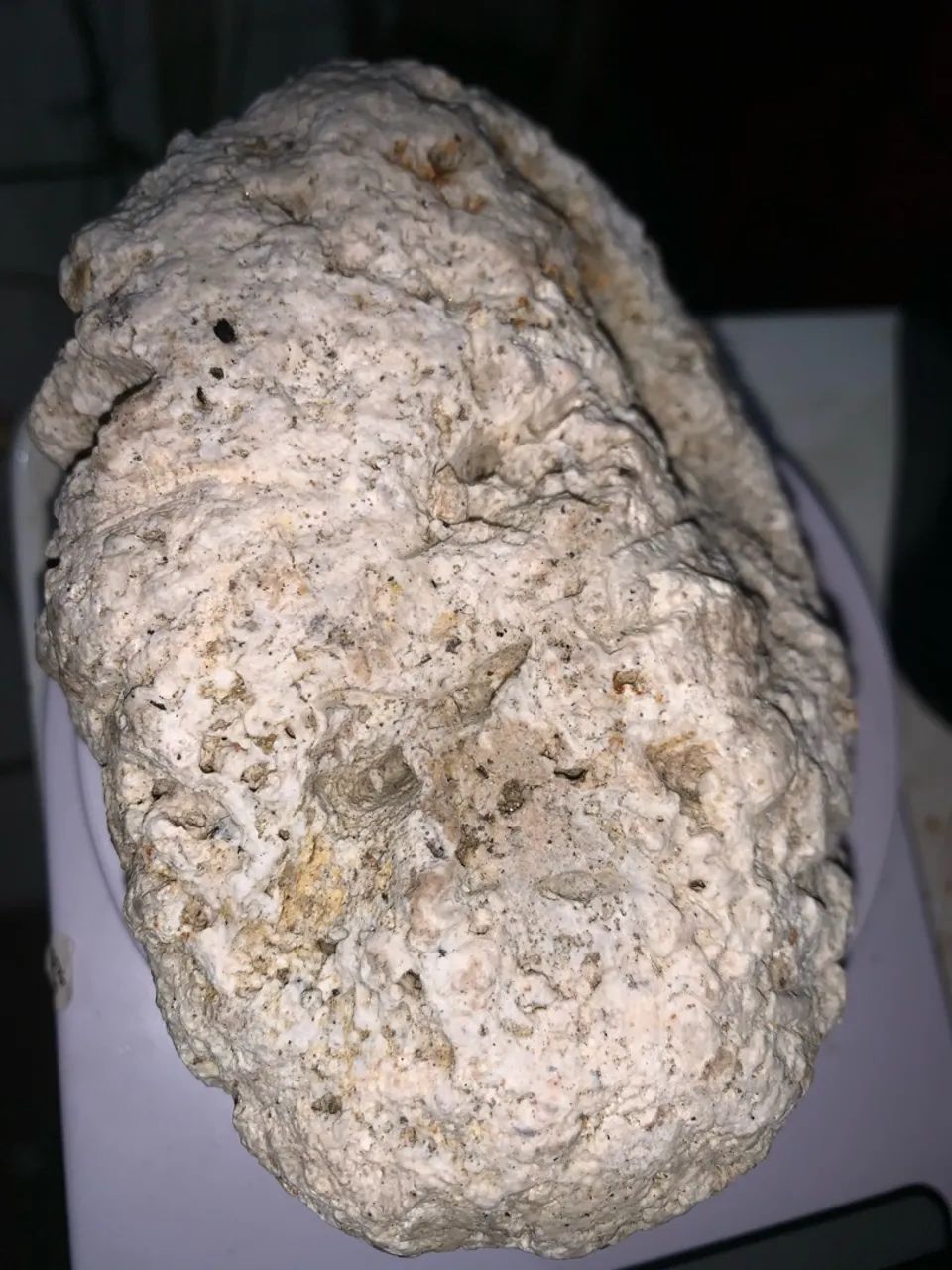 Vendo âmbar gris - Foto 2