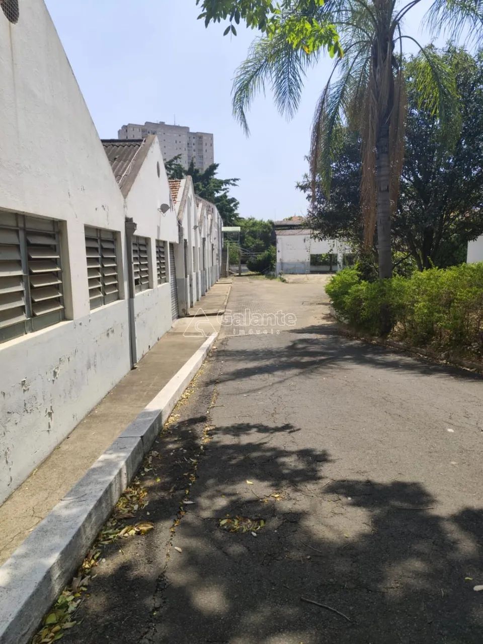 área - Vila Industrial - Campinas - Foto 2