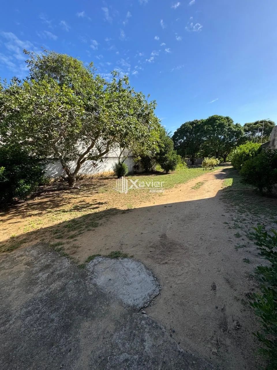 Chácara Escriturada com 6.500 m², Nascente, 2 Lagoas e Árvores Frutíferas à Venda no Jabar - Foto 10