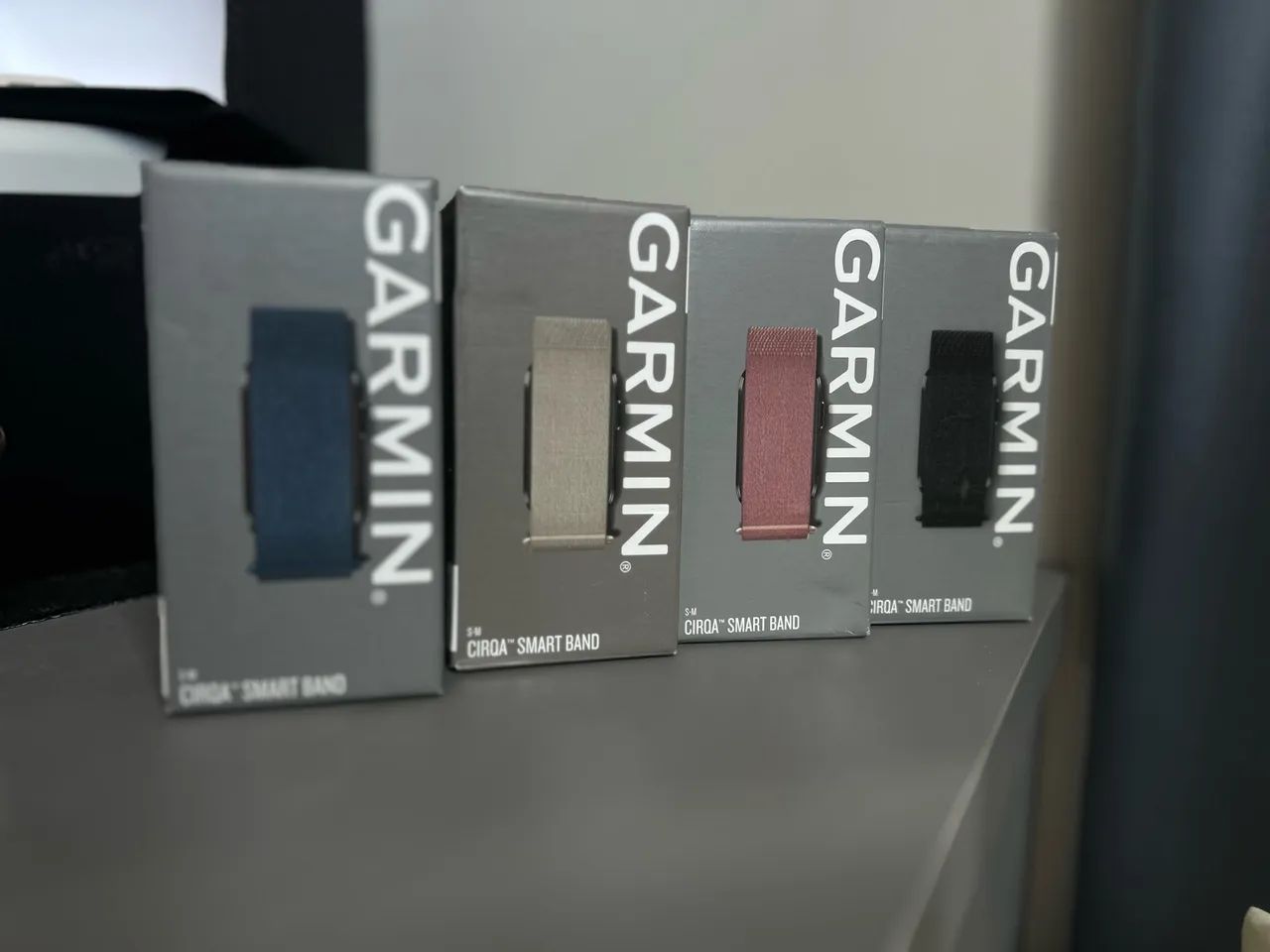 Garmin Cirqa