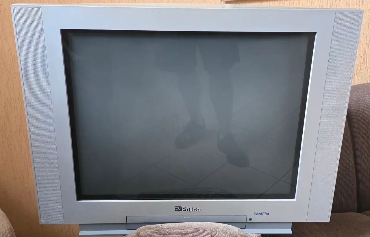 TV 29" Única Dono + 1 Sofá Ótimo Estado  - Foto 2