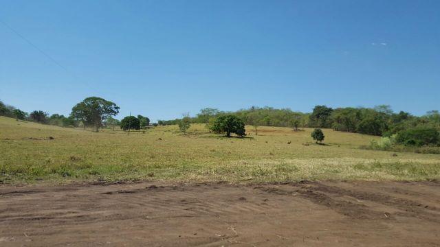 Fazenda com 20 alqueires no município de Inhumas. Excelente - Foto 7