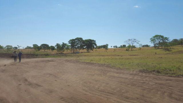 Fazenda com 20 alqueires no município de Inhumas. Excelente - Foto 4
