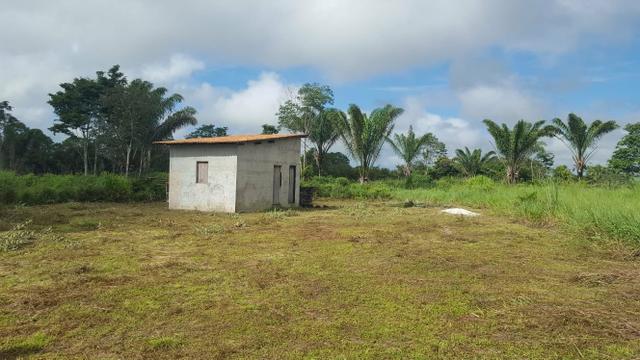 25 hectares documentado por 160 mil reais zap * - Foto 5