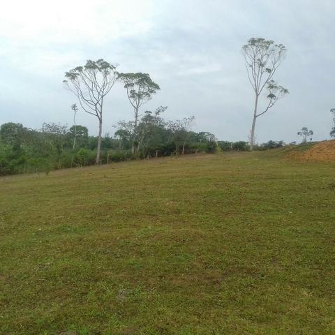 Linda área para Sítio, 10.000 m2 em ótima localização, pronto para construir - Foto 11