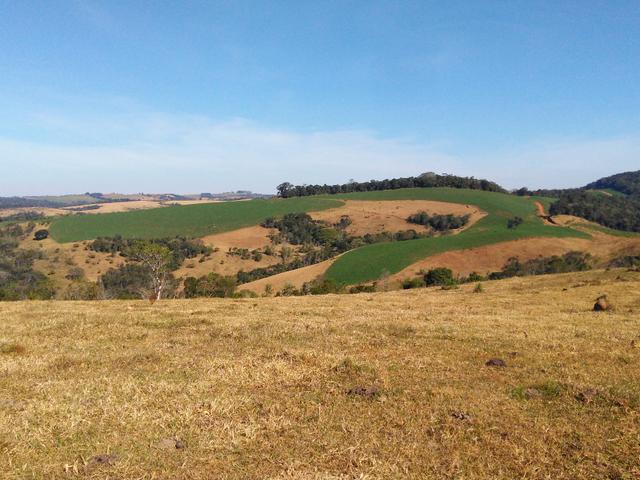 Fazenda de 990 Alqueires ( Escritura Pública) 1 matrícula e com GEO.89 km de Guarapuava PR - Foto 16