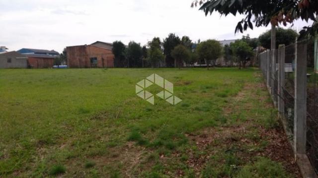 Terreno à venda em Vendinha, Montenegro cod:TE1300 - Foto 4