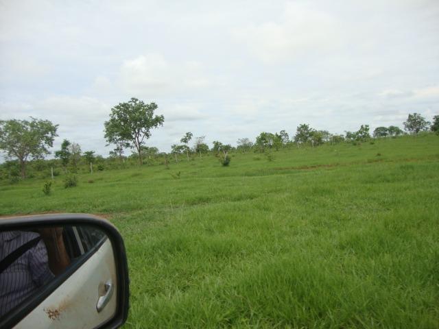 Sitio 15 alqueires Região Calcário, troca-se por casa em Tangará - Foto 5