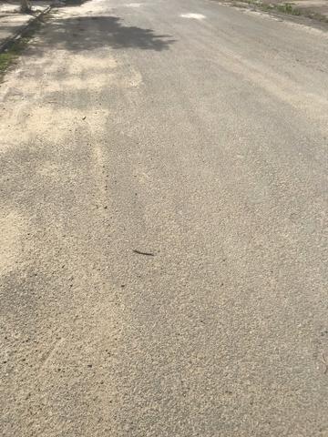 Terreno  ( 10x 25 = 250 m2 ) Vivendas Coqueiro 3 / = 87 mil  - Foto 3