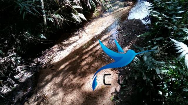 Linda área para lazer ou preservação em agudos do sul - pr - Foto 9