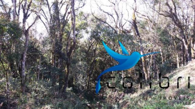Terreno para formar chácara de lazer em agudos do sul - pr - Foto 13