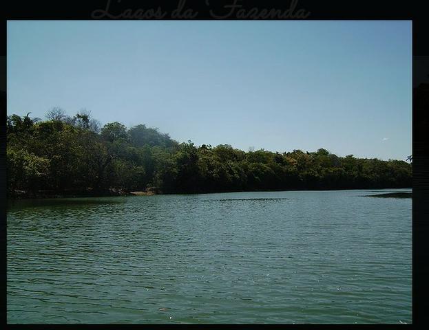 Vendo uma fazenda de 10.257 hectares, em Cocalinho- mt - Foto 4