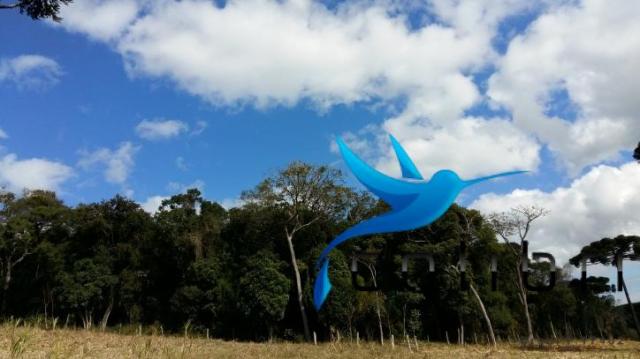 Linda área para lazer ou preservação em agudos do sul - pr
