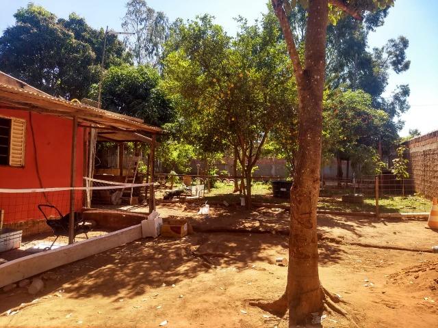Chácara localizada em Águas Lindas 2000m² - Foto 3