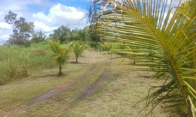 Chacara a venda a 20km de Cuiaba - Foto 7