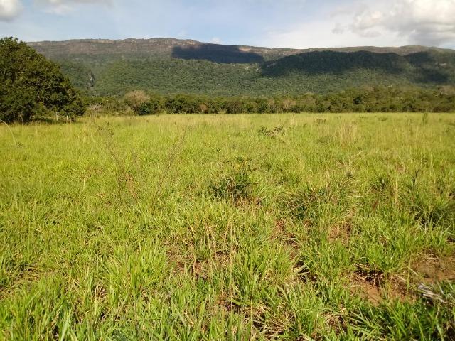 Fazenda com 784 hectares em Rosário Oeste MT - Foto 7