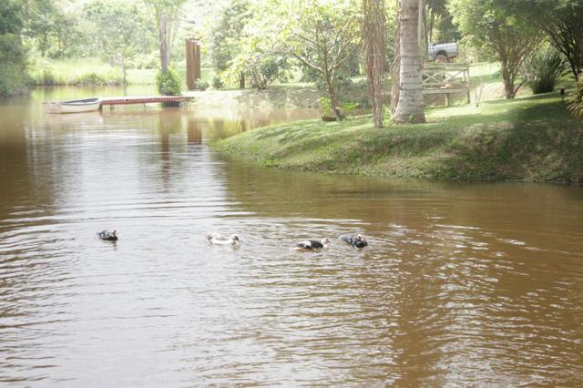 Lindo Sítio no Bairro Sebollas em Paraiba do Sul - Foto 20