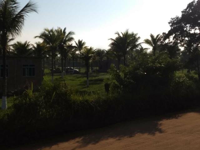 Jô - Lotes com pg parcelado - Foto 2
