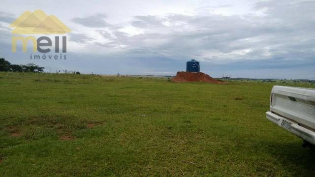 Sítio com 1 dormitório à venda, 96800 m² por R$ 590.000,00 - Zona Rural - Martinópolis/SP - Foto 12