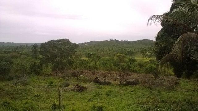 Vendo fazenda em Araçás ba - Foto 3
