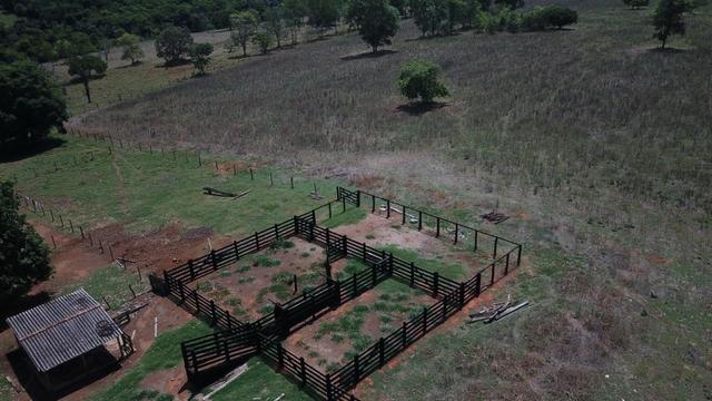 Fazenda Extra em Hidrolândia-GO. 40 km Goiânia - Foto 11