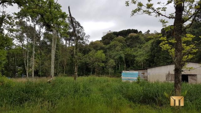 Terreno à venda em Bela vista, Caxias do sul cod:459 - Foto 2