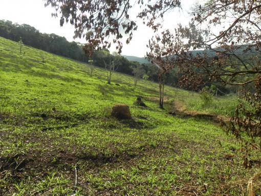 Agt-Lindos terrenos na promoção em Mairiporã,direto com dono. - Foto 4
