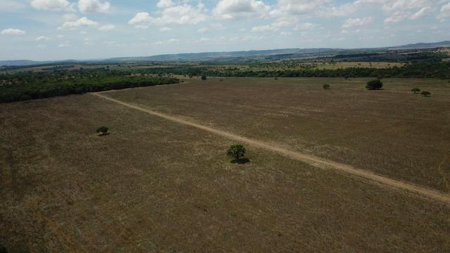 Fazenda Extra em Hidrolândia-GO. 40 km Goiânia - Foto 12