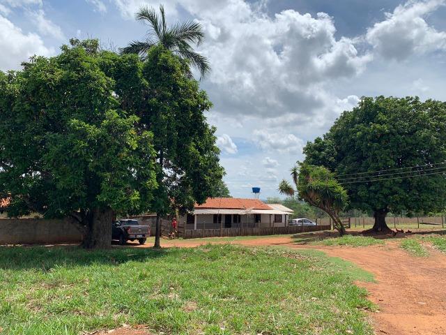 Fazenda Extra em Hidrolândia-GO. 40 km Goiânia - Foto 17