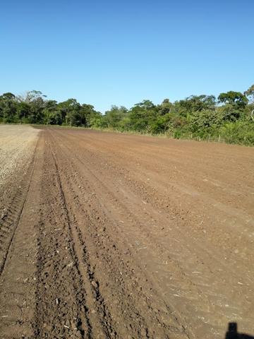 Sitio a venda em santo antonio do leverger - Foto 5