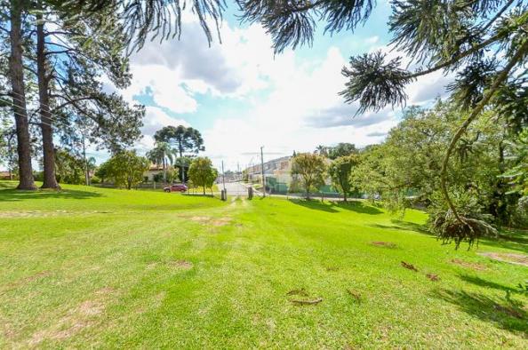 Terreno à venda em Uberaba, Curitiba cod:146250 - Foto 19