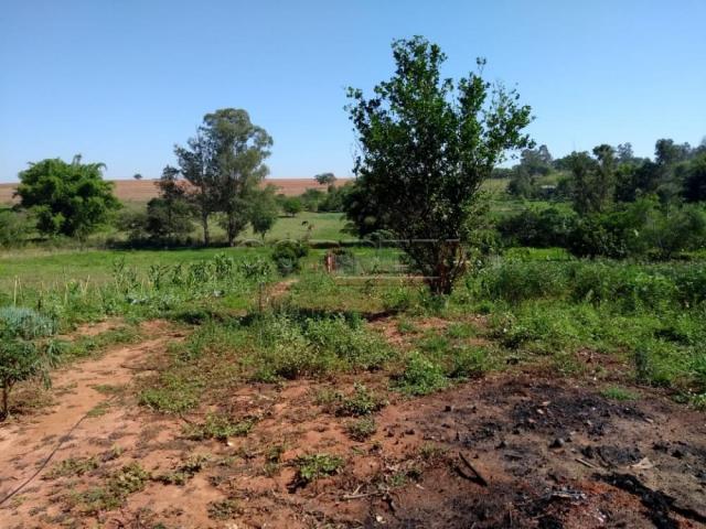 Chácara à venda em Agua limpa, Aracatuba cod:V30851 - Foto 14