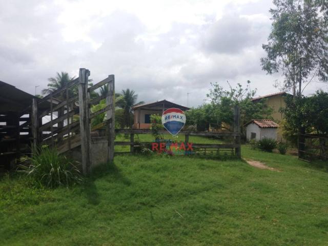 Re/max chave de ouro vende fazendas nas margens do rio buranhém - Foto 17