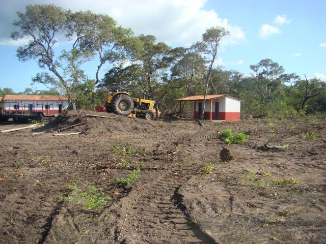 Fazenda com 1.006 hectares, com sede, aberta, para soja e milho - Foto 17