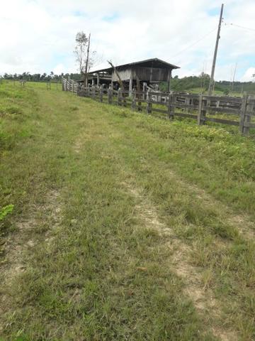 Ulianópolis-Pa, 200 Alqueires - Foto 3