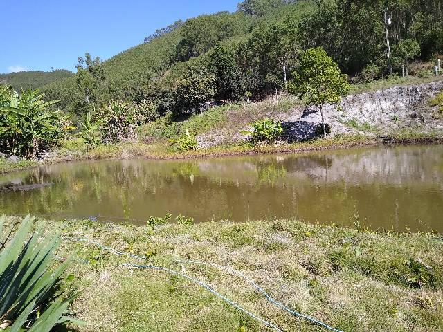 Sitio minis freire 4 alqueires - Foto 7