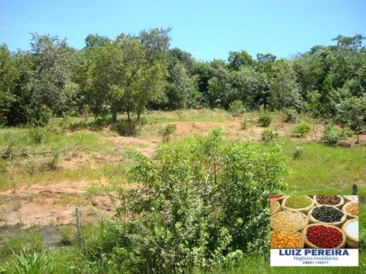 FAZENDA A VENDA de 100 HECTARES EM TERENOS - MS - (Pecuária) - Foto 3