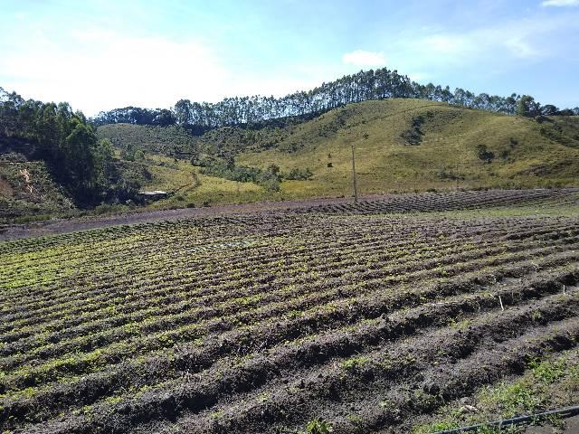 Sitio minis freire 4 alqueires - Foto 10