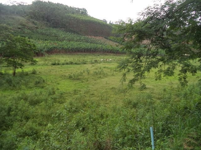 Domingo martins - Foto 5