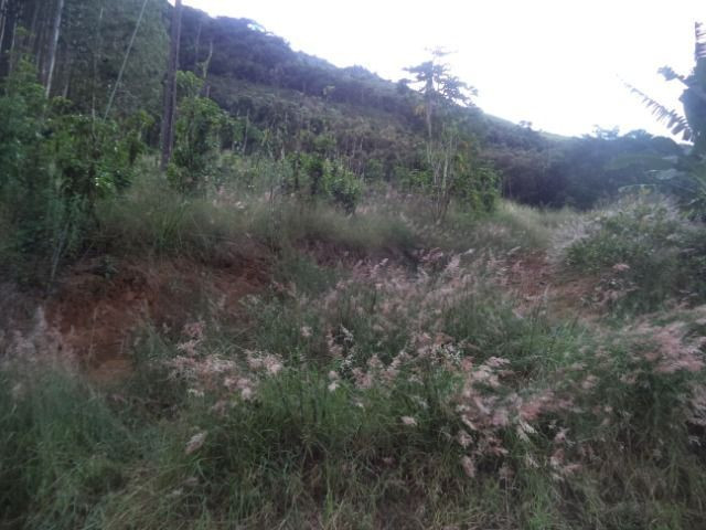 Marechal - Foto 2