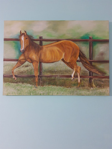 Quadro Cavalo Marrom Oleo Sobre Tela Objetos De Decoracao Centro Curitiba 780646362 Olx