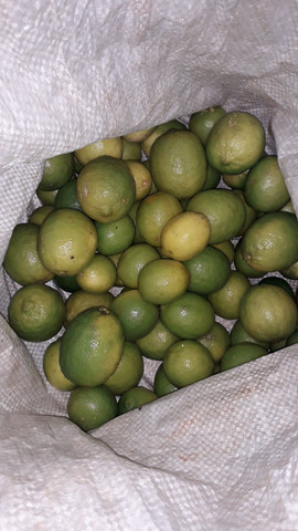 Produtos da roça  - Foto 2