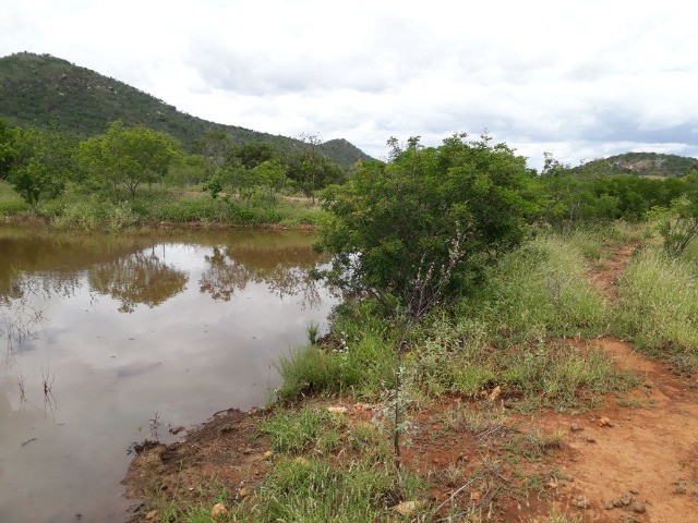 Fazenda Oportunidade