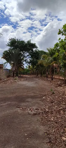 Laticínio em Guapó